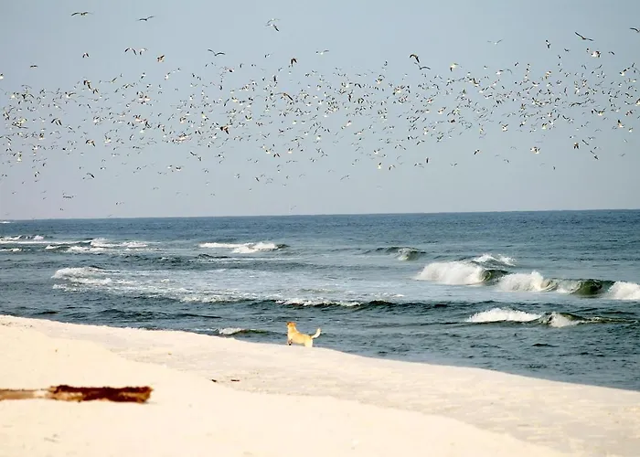 Neuklosterhof App. 24 Appartamento *